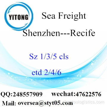 Shenzhen Port LCL Consolidatie Naar Recife